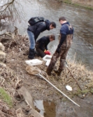 pebrn nasbranch vzork (foto: Tom Havlek)