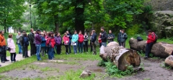 na exkurzi v parku (foto: Vlastimil Kostkan)