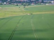 detail suchho poldru (foto: Vlastimil Kostkan)